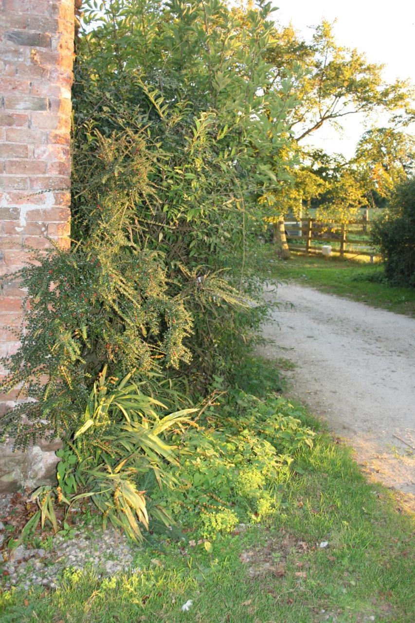 Greenway Farm Bed and Breakfast Μπριτζγουότερ Εξωτερικό φωτογραφία