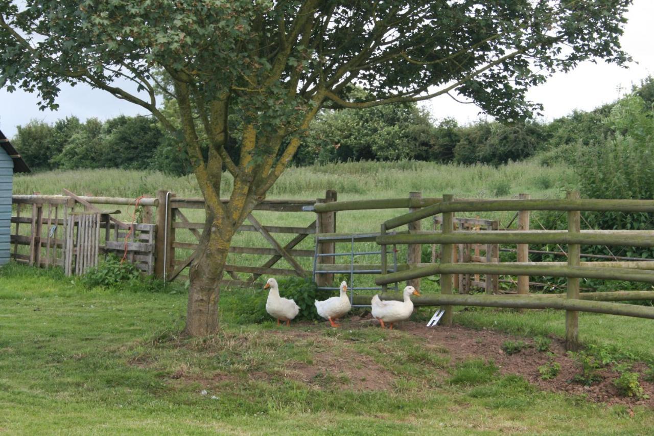 Greenway Farm Bed and Breakfast Μπριτζγουότερ Εξωτερικό φωτογραφία